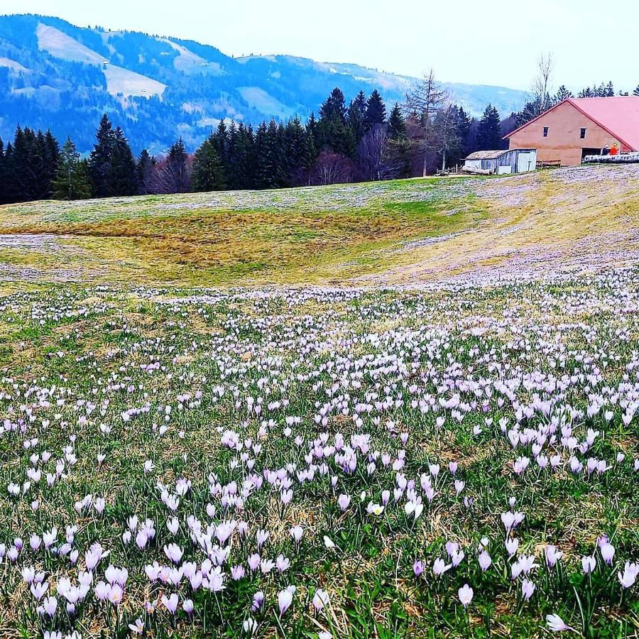 Landhaus Eibelesee Oberstaufen Exterior foto