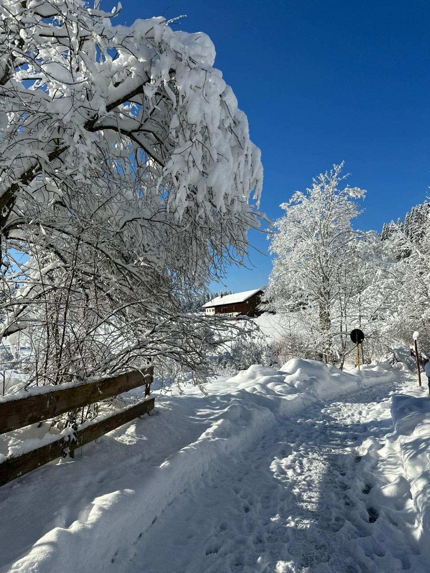 Landhaus Eibelesee Oberstaufen Exterior foto